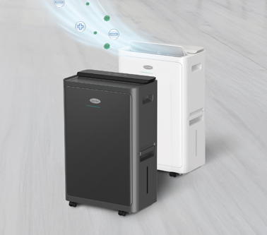 Dual Clean - Image 1